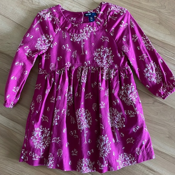 GAP | Dresses | Baby Gap Toddler Dress 